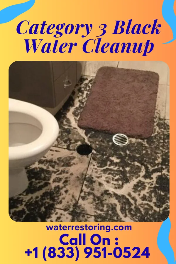 Category 3 Black Water Cleanup in North Fairfield, OH