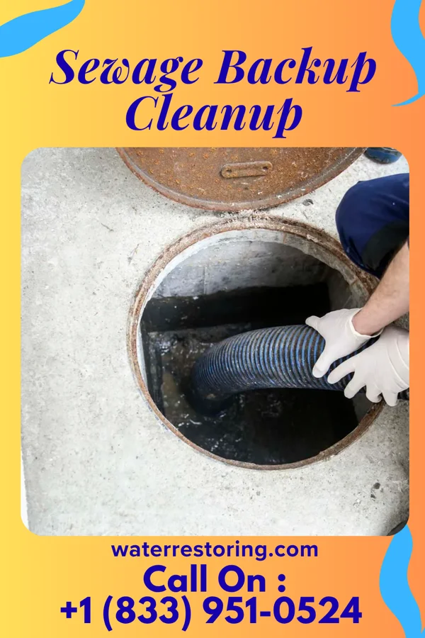 Sewage Backup Cleanup in North Fairfield, OH