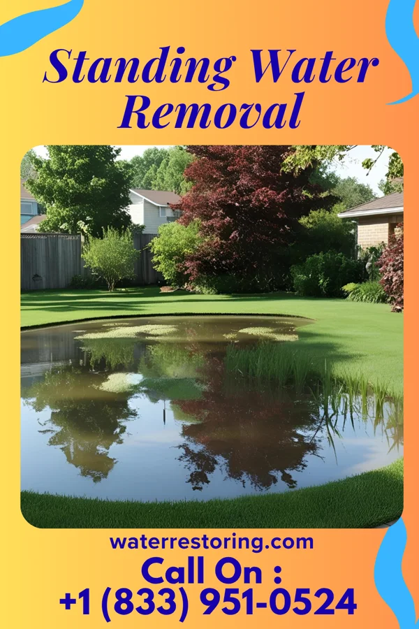 Standing Water Removal in North Fairfield, OH
